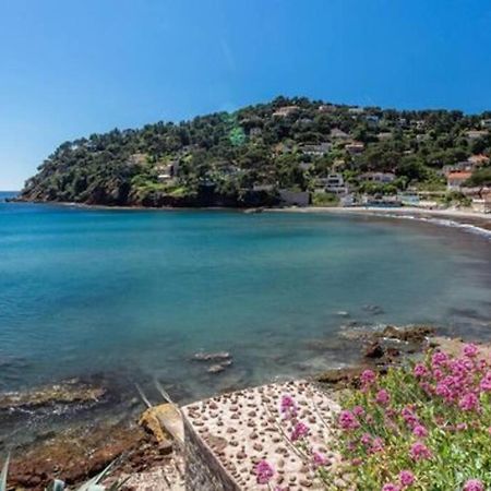 Grande Maison De Ville Atypique - 4 Nuits Mini La Seyne-sur-Mer Zewnętrze zdjęcie